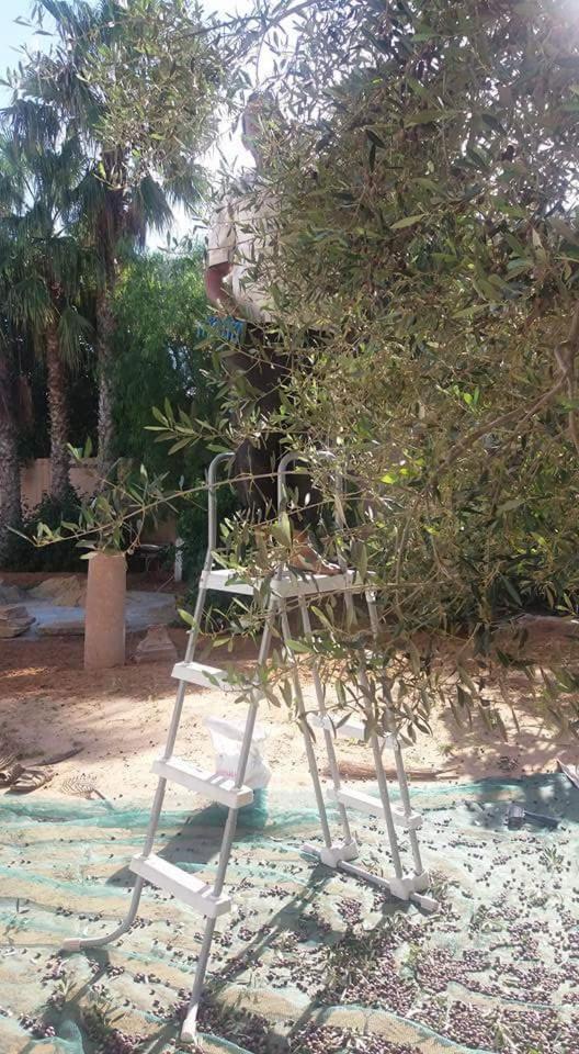 Maison D'Hotes Dar Salma Safakis Zewnętrze zdjęcie